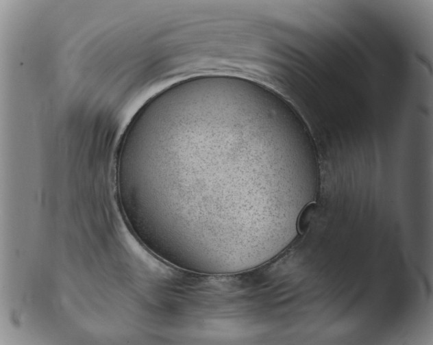 X0000103431531200809261719