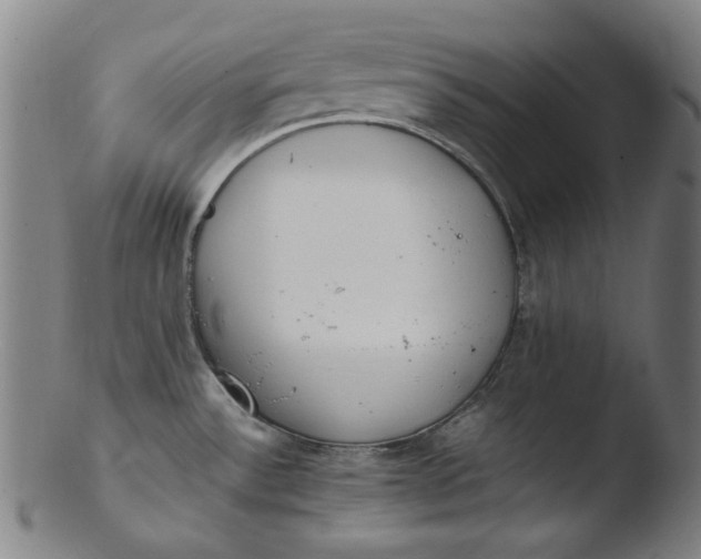 X0000103431532200809261719