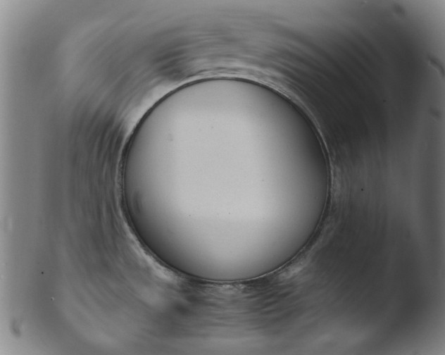 X0000103431533200809261719