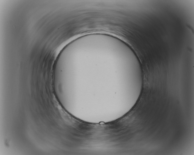 X0000103431534200809261719