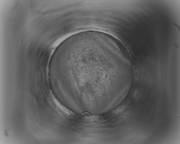 X0000103431535200809261719