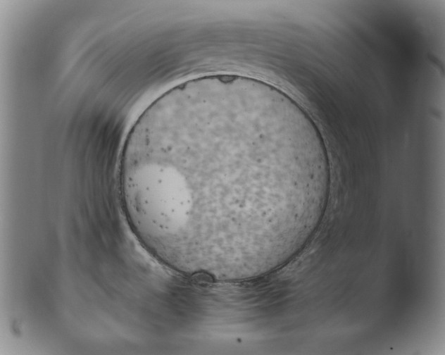 X0000103431536200809261719