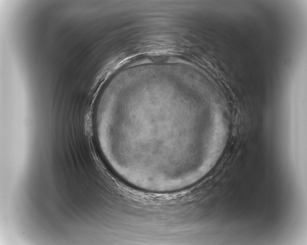 X0000103430002200810031400