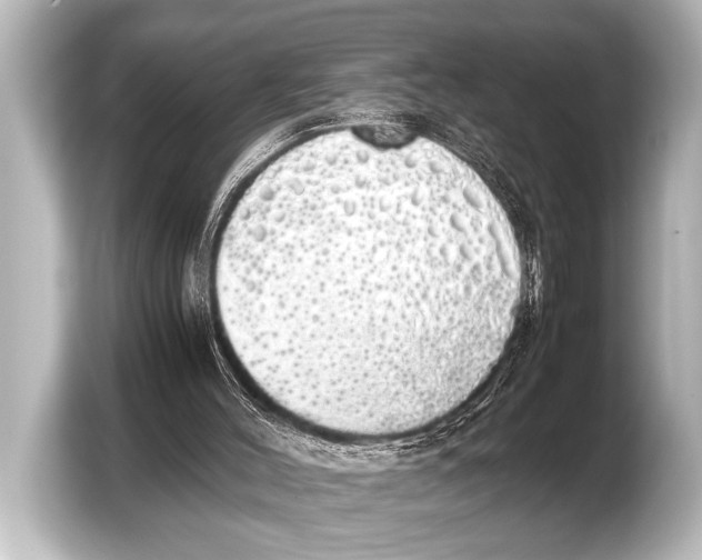 X0000103430004200810031400