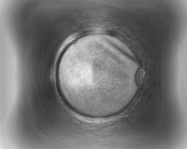 X0000103430006200810031400