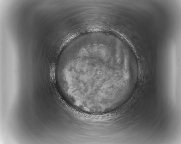 X0000103430010200810031400