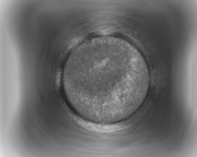 X0000103430018200810031400