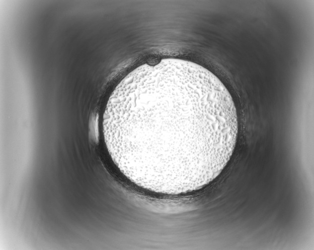 X0000103430020200810031400