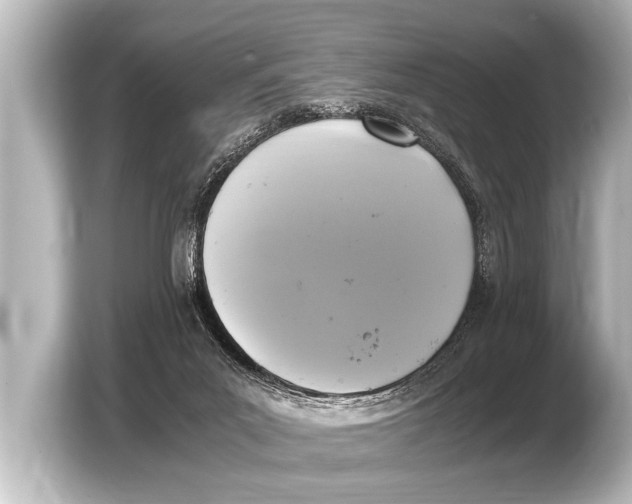 X0000103430023200810031400