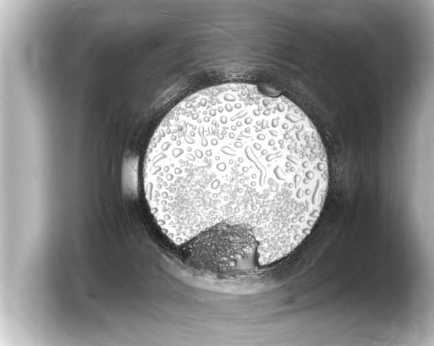 X0000103430028200810031400