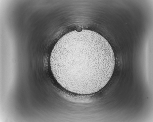 X0000103430032200810031400