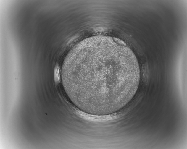 X0000103430042200810031400