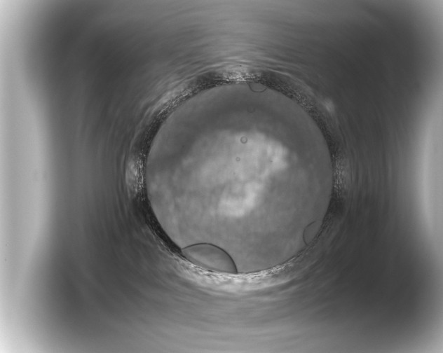 X0000103430043200810031400