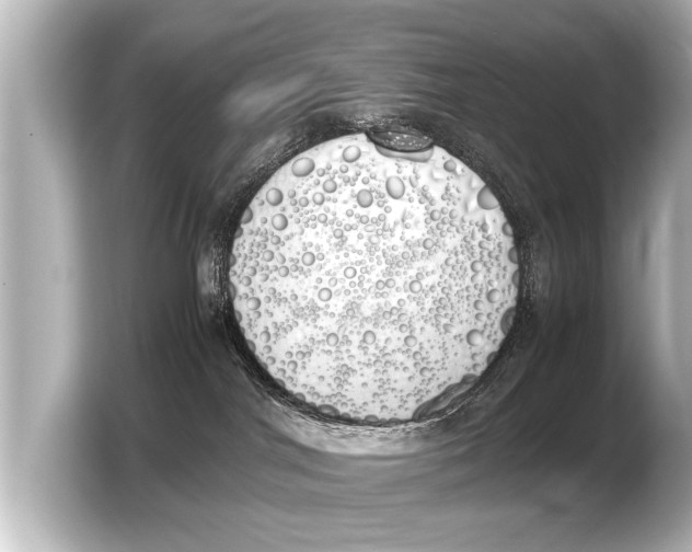 X0000103430044200810031359