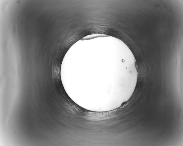 X0000103430045200810031359