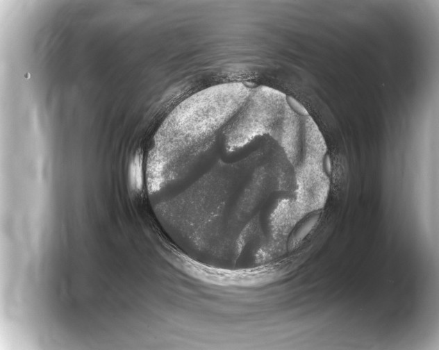 X0000103430046200810031359