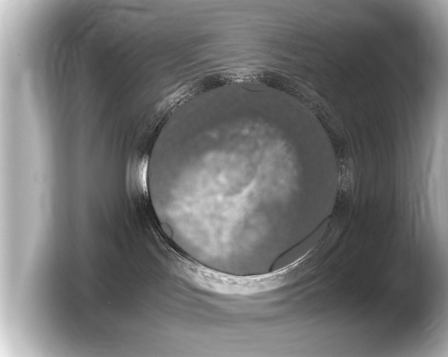 X0000103430047200810031359