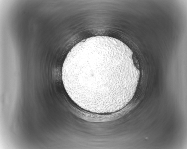 X0000103430048200810031359