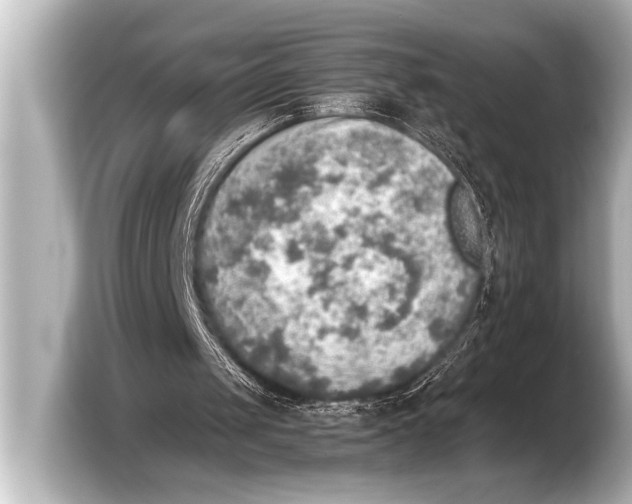 X0000103430049200810031359