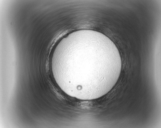 X0000103430050200810031359
