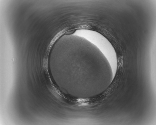 X0000103430051200810031359