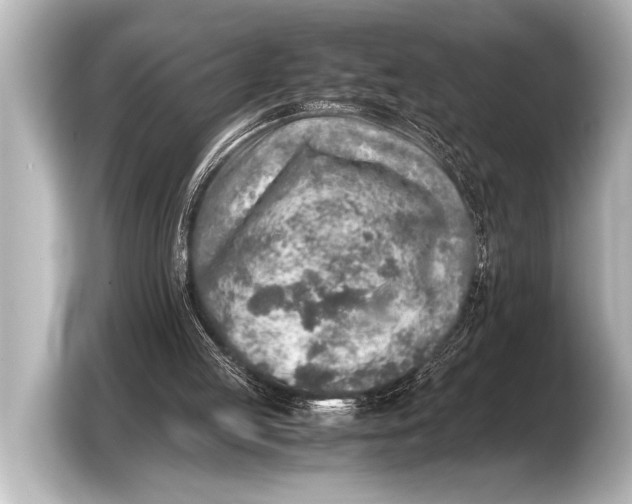 X0000103430053200810031359