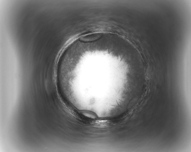 X0000103430055200810031359