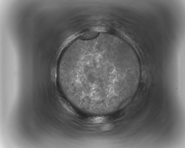 X0000103430059200810031359