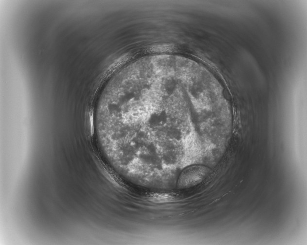 X0000103430061200810031359