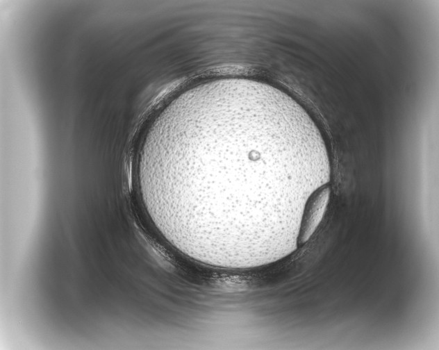 X0000103430062200810031359
