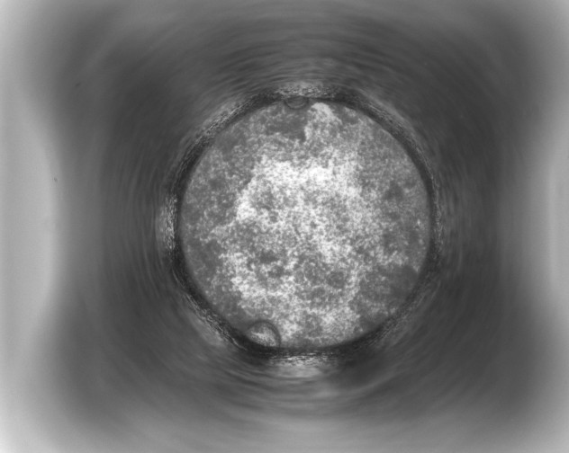 X0000103430065200810031359