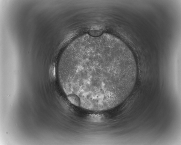 X0000103430067200810031359