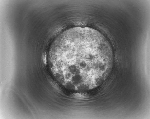 X0000103430069200810031359