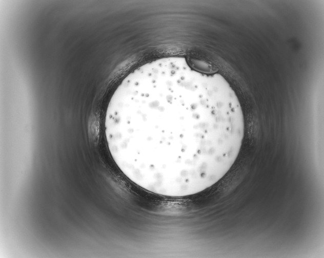X0000103430072200810031359