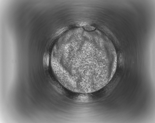 X0000103430076200810031359