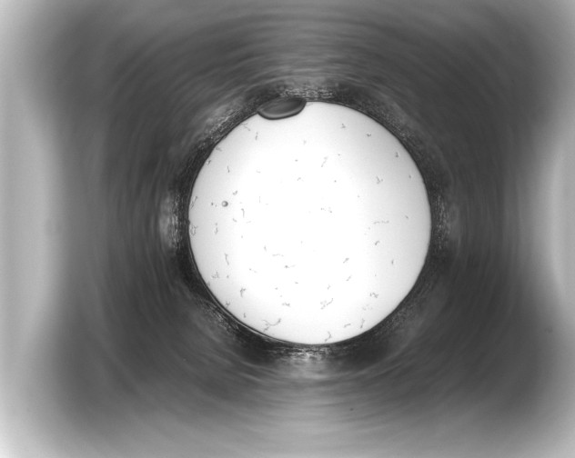 X0000103430080200810031359