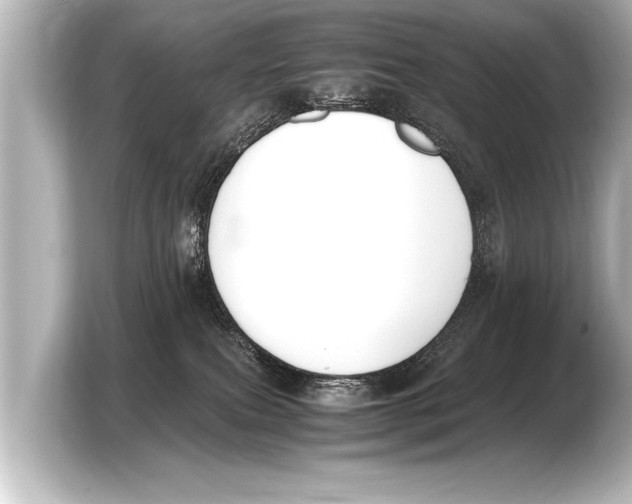 X0000103430087200810031359