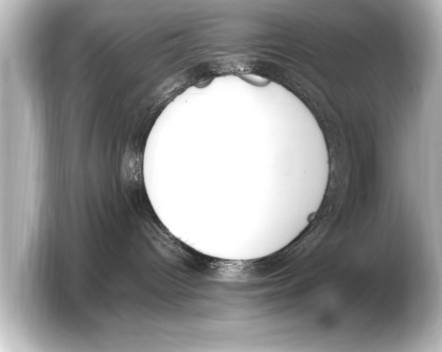 X0000103430096200810031359
