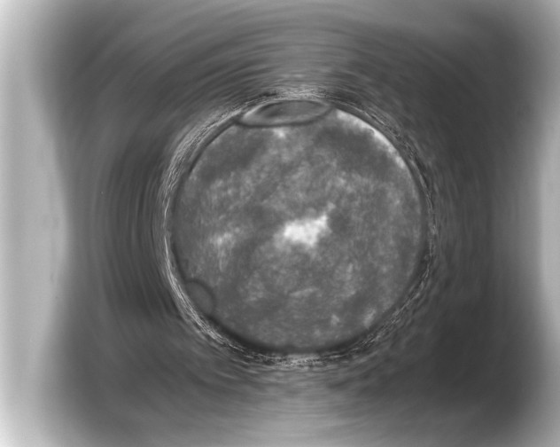 X0000103430097200810031359