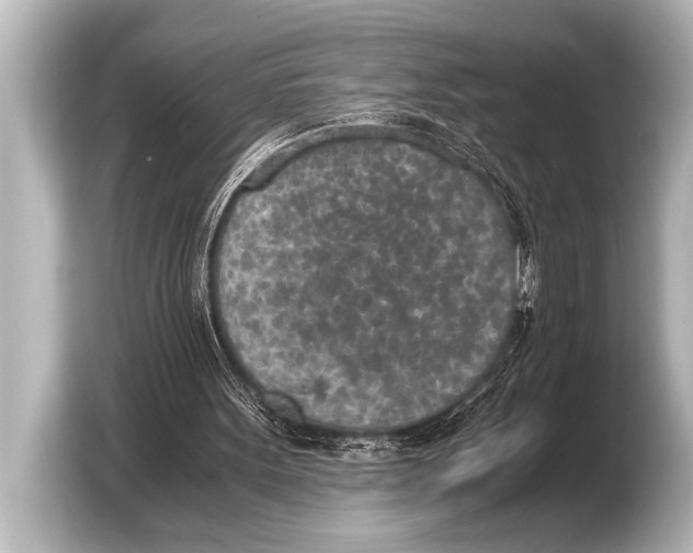 X0000103430099200810031359