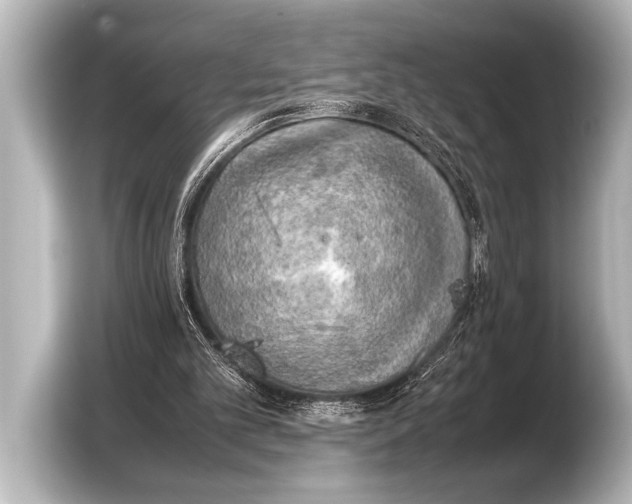 X0000103430101200810031359