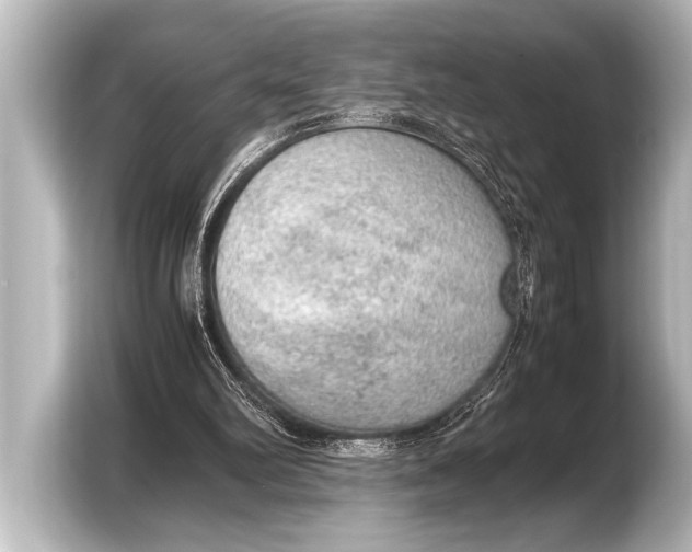 X0000103430102200810031359