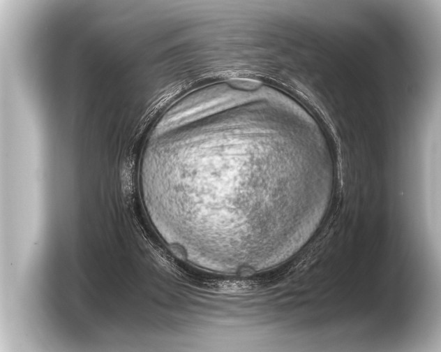 X0000103430105200810031359