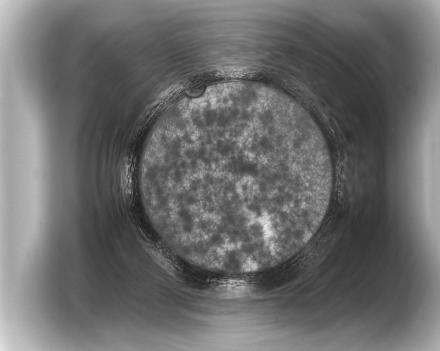 X0000103430114200810031359