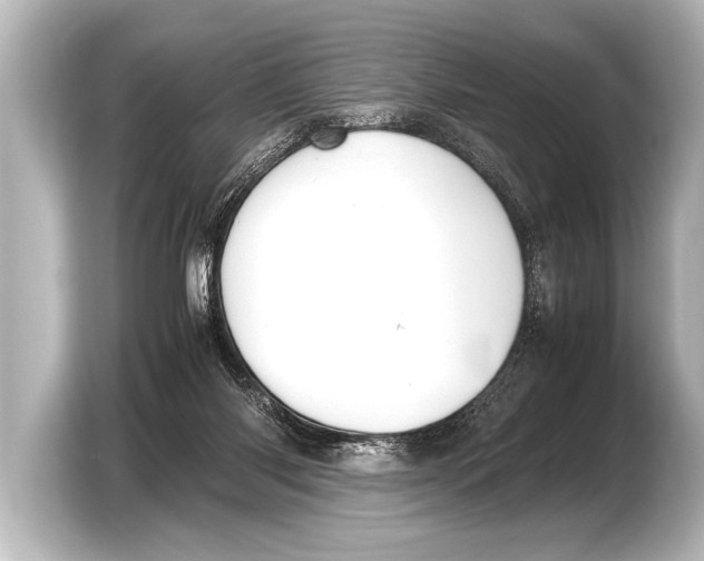 X0000103430118200810031359