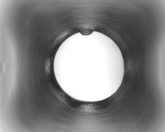 X0000103430120200810031359