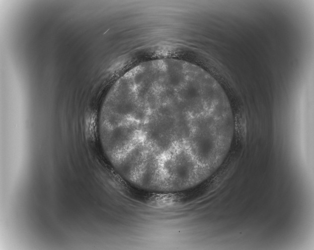X0000103430127200810031358