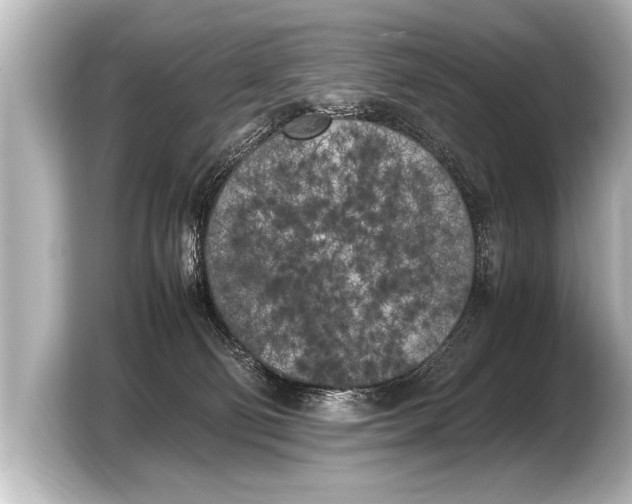 X0000103430130200810031358