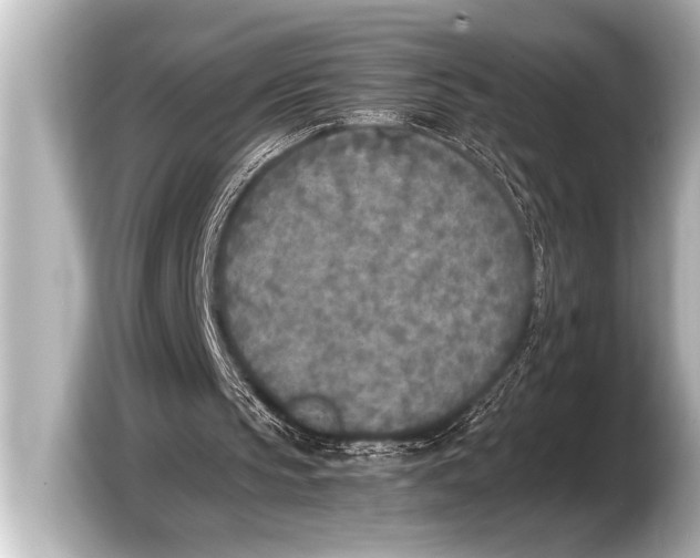 X0000103430145200810031358