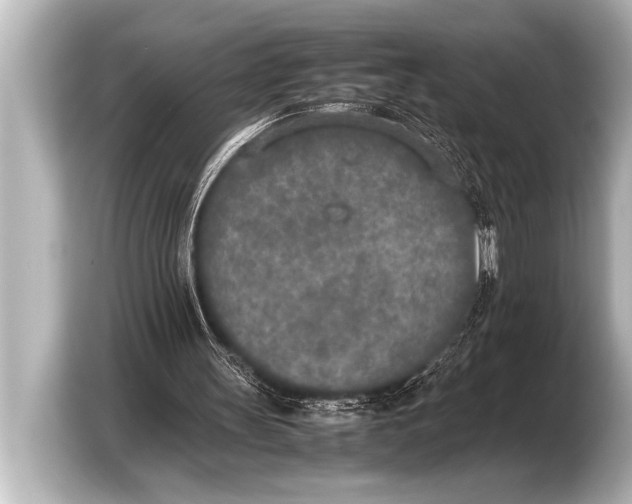 X0000103430147200810031358